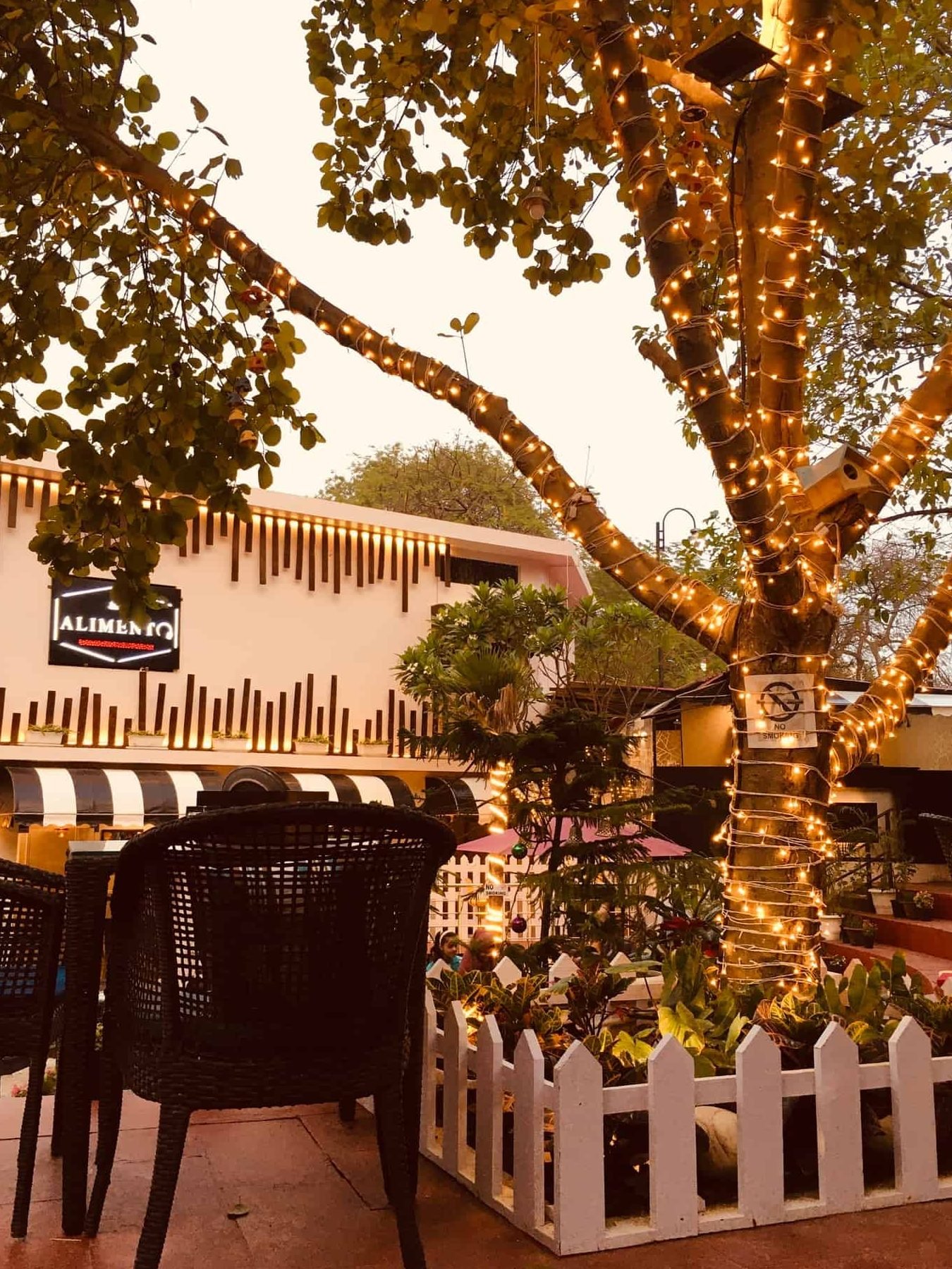 alimento restaurant and cafe best restaurant in prayagraj top cafe and restaurant in prayagraj