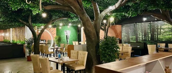 aranyam jungle theme restaurant hanamkonda warangal