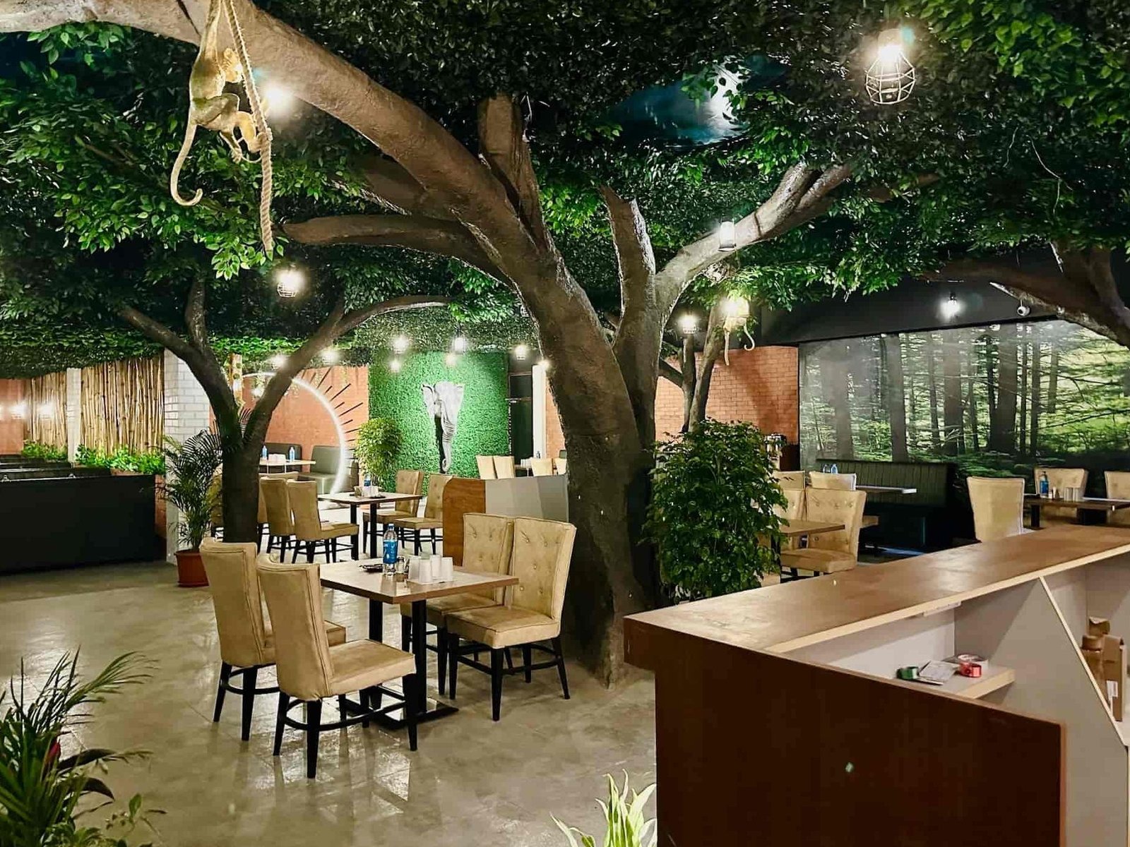 aranyam jungle theme restaurant hanamkonda warangal