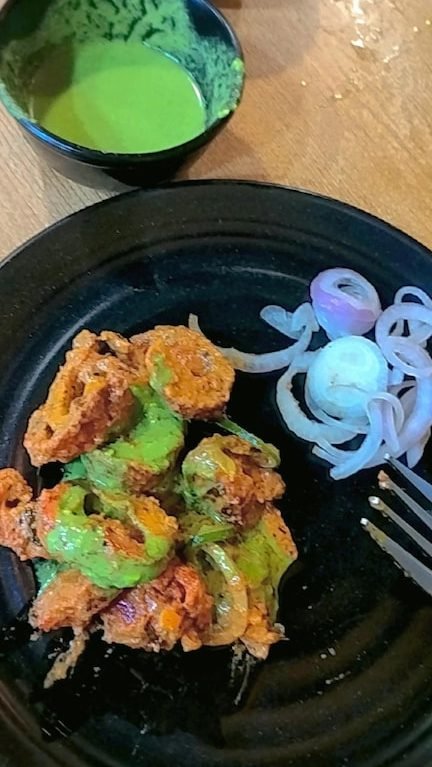 best restaurants in satna india top local dining spots you must try