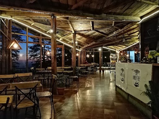 Cafe Under Tree Cafe Under Tree