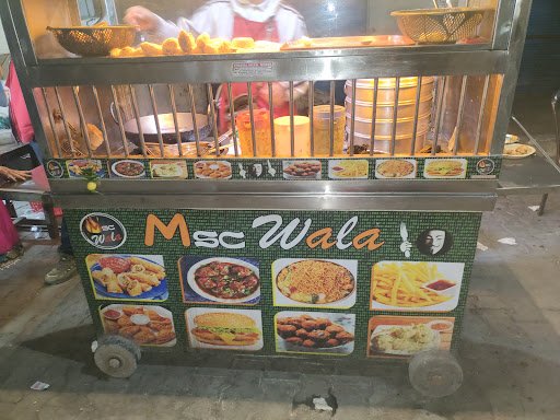 MSC WALA