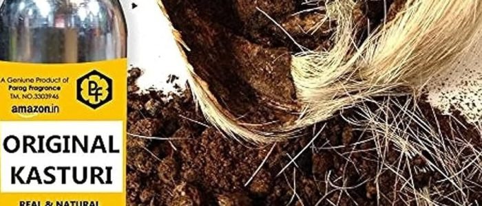 kasturi