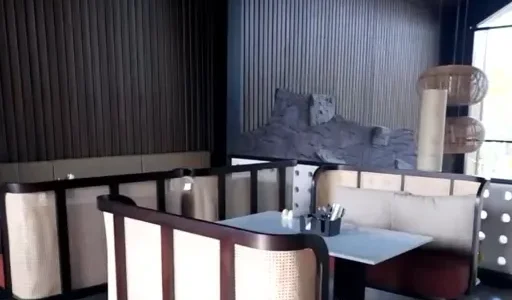 signature by darling