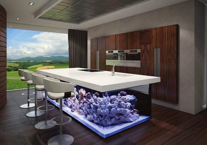 the ocean kitchen