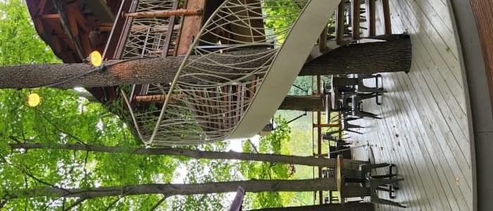 tree house restaurant