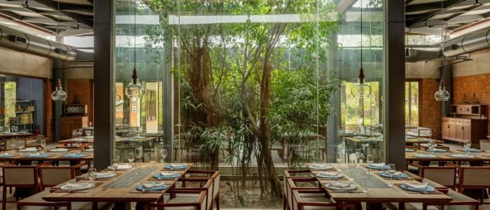 under the neem trees