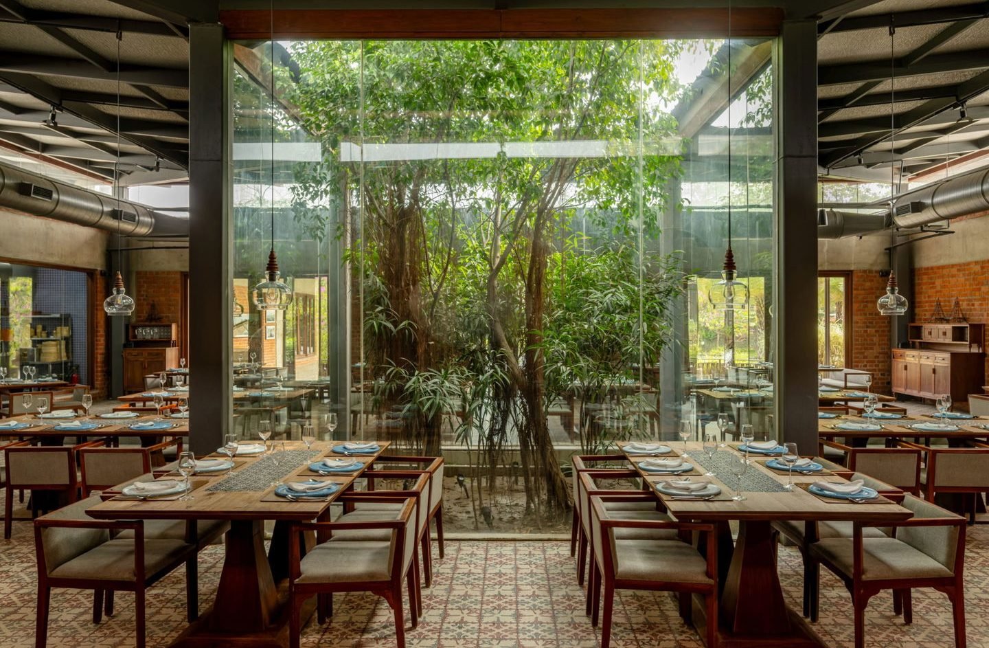 under the neem trees